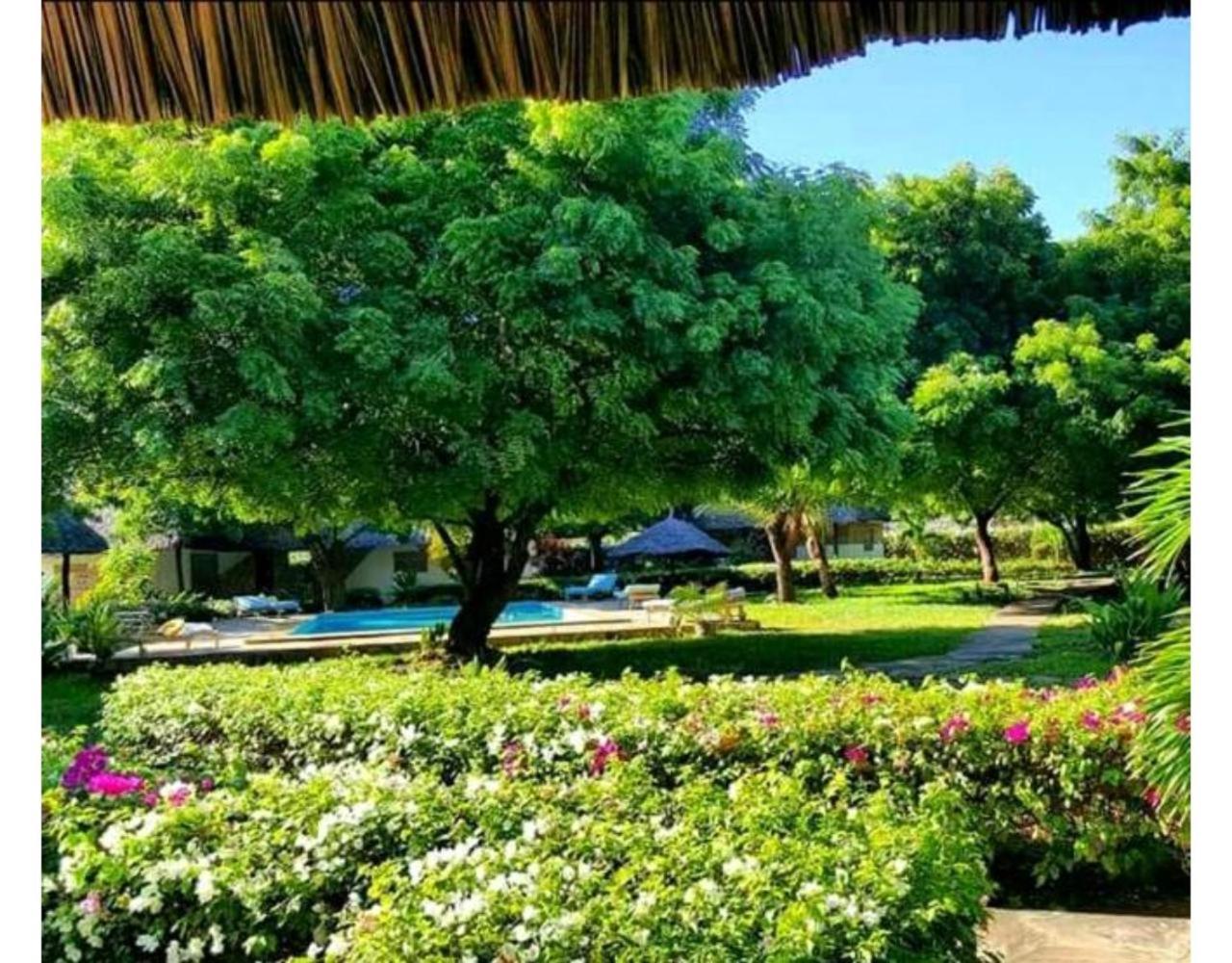 Eco Villas Watamu Extérieur photo