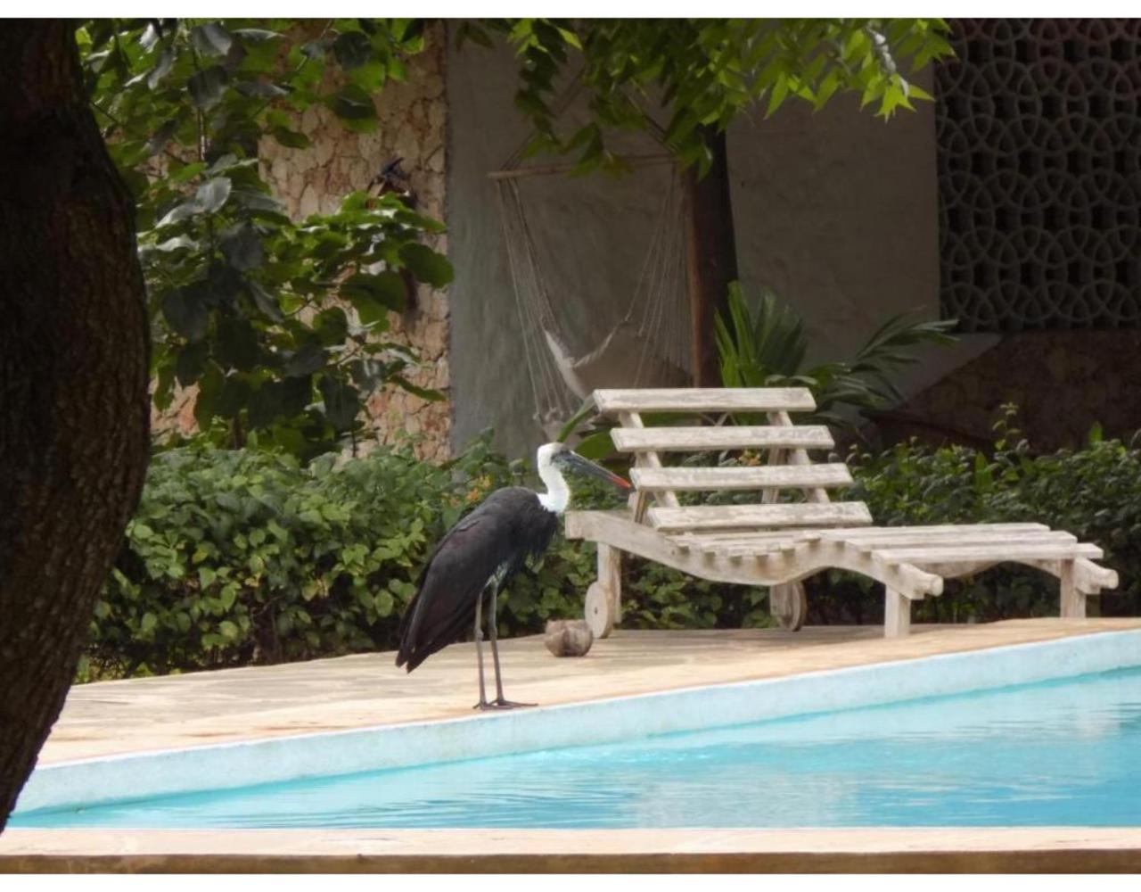 Eco Villas Watamu Extérieur photo